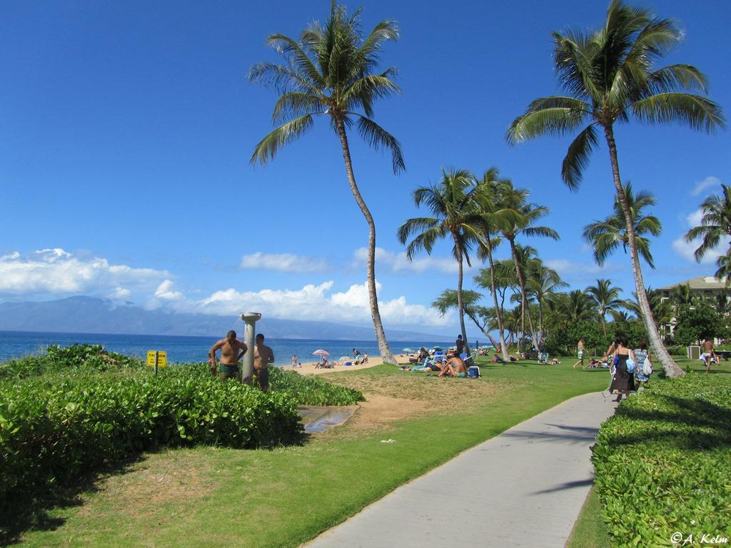 Maui Beachtime